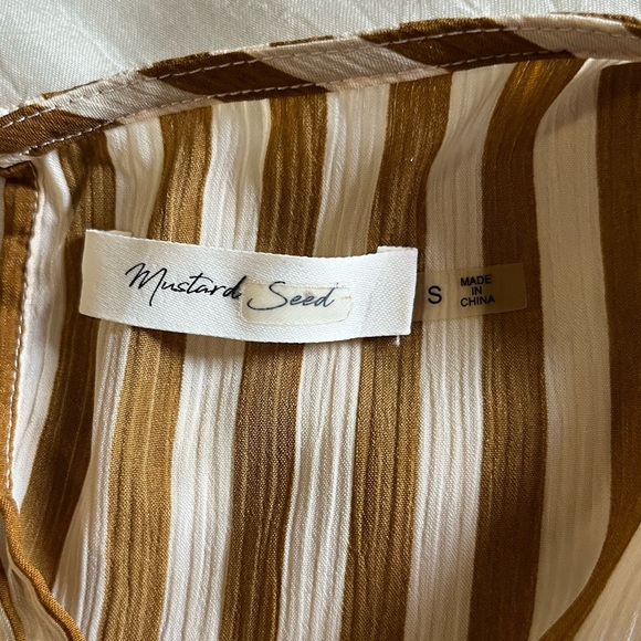 Mustard Seed - Brown and White Striped Blouse - Picture 5 of 5